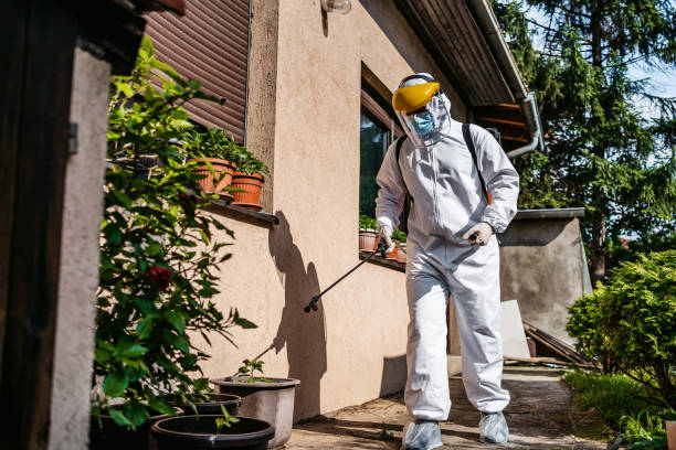 Best Commercial Pest Control Services  in Bay Village, OH