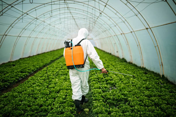 Best Affordable Pest Control Services  in Bay Village, OH