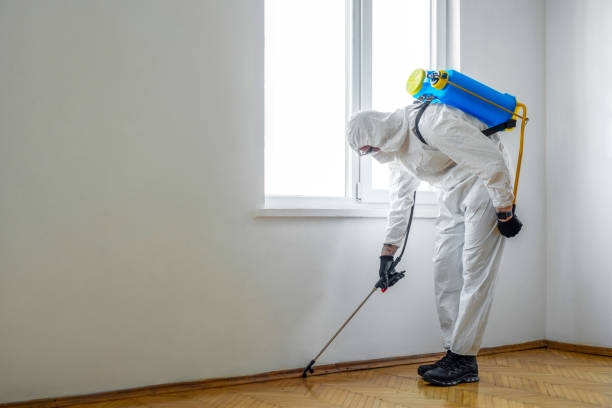 Best Termite Control Services  in Bay Village, OH