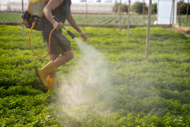 Best Commercial Pest Control Services  in Bay Village, OH