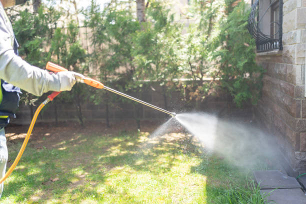 Best Pest Removal Services  in Bay Village, OH
