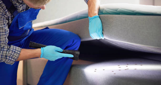 Best Pest Control for Homes  in Bay Village, OH